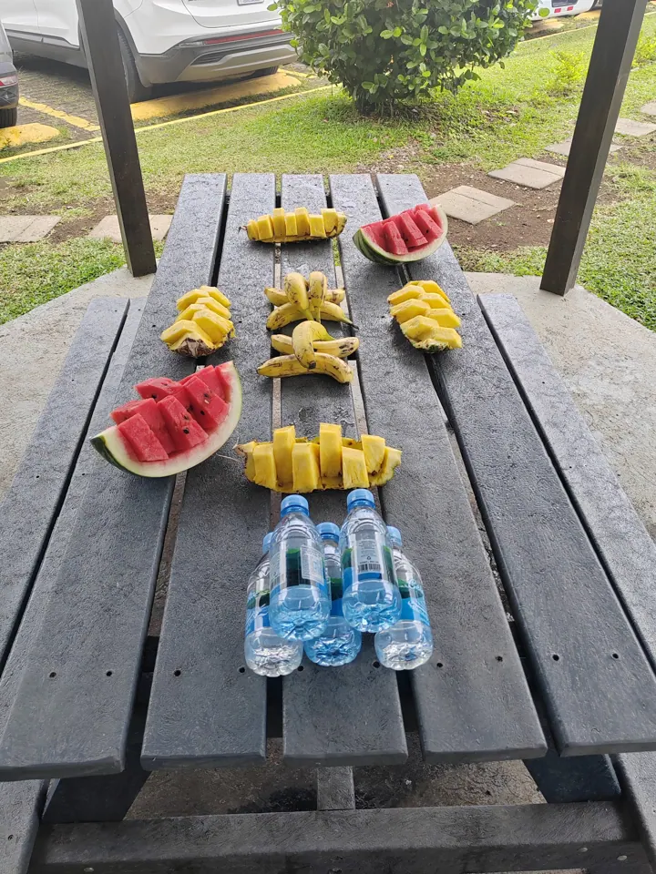 Fresh tropical fruit on a stop along the route